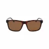 Lacoste vīriešu saulesbrilles L6025S-219 Havana Green 56mm