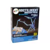 LEAN TOYS Arheoloģijas izrakumu komplekts Dinozauru skelets Pteranodons 3D Hologramma