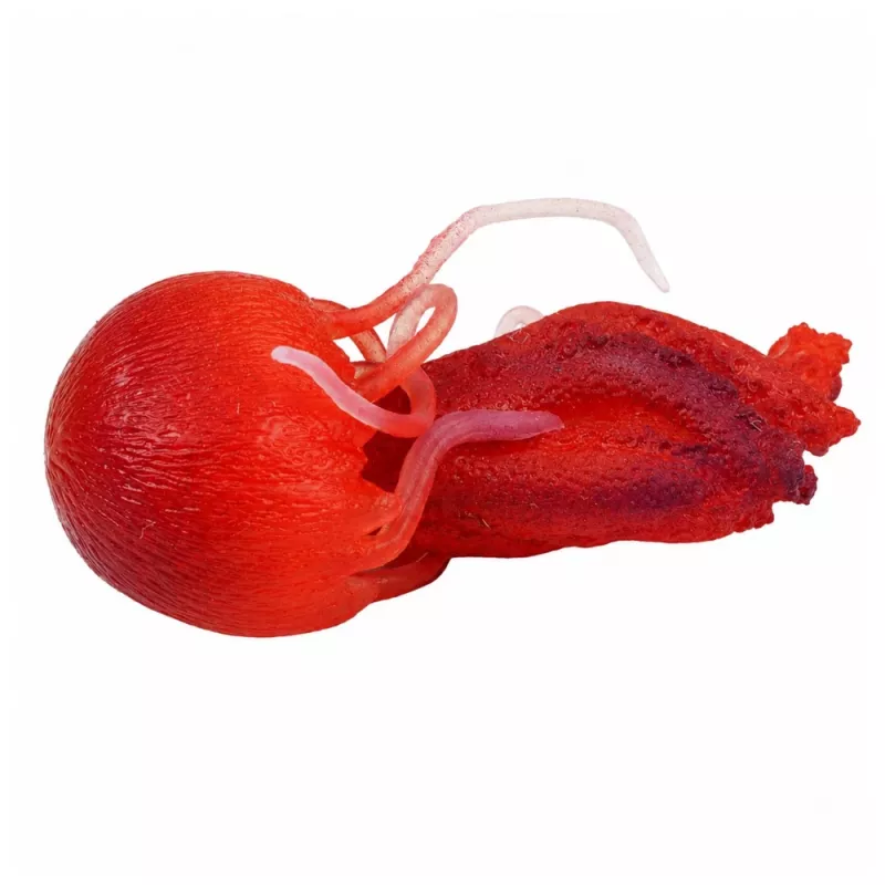 LEAN TOYS Jellyfish Rubber Figurine Stretchable Realistic Sea Animal 9 cm