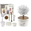 LEAN TOYS Magic Tree Crystal Growing Silver Experiences
