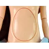LEAN TOYS Pregnant Mom Baby Doll with Opening Belly and Blue Dress 30 cm