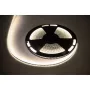 LED vads 25m Rebel 300x5050 SMD neitrāli balts ūdensizturīgs 12V
