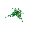 LEGO BOTANICALS 11512 Piekārtais pūķa efejas būvēšanas komplekts
