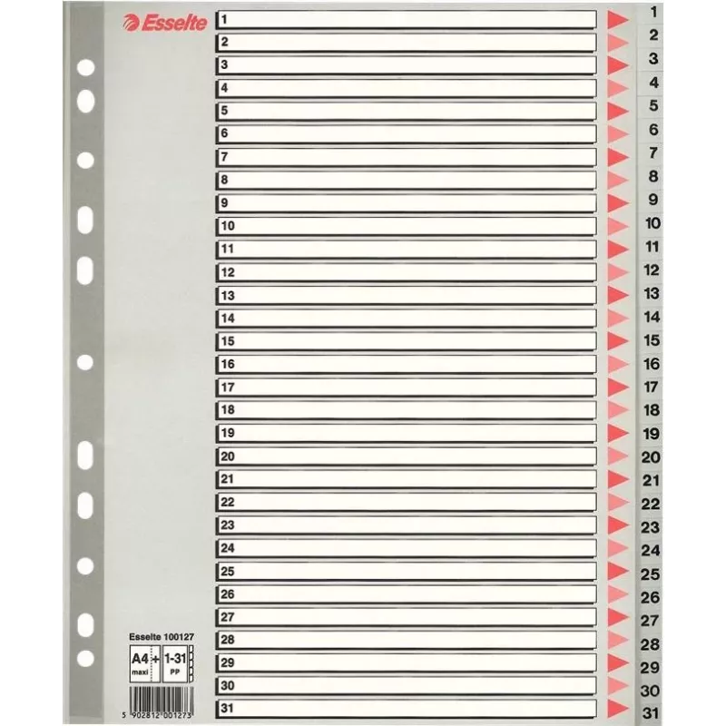 LEITZ A4 īpaši plata tukša plastikāta satura rādītāja atdalītāji, 20 daļas, universāls perforējums, caurspīdīgi balts 1278-00-00