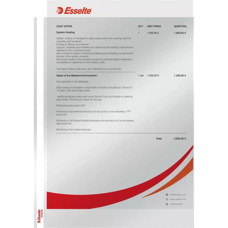 LEITZ Esselte Standarta dokumentu futrālis A4, polipropilēns, caurspīdīgs, 0,06 mm, atvērts no augšas, drošs dokumentiem, daudzperforēts, pastiprināta mala, 100 gab. iepakojums (925008)