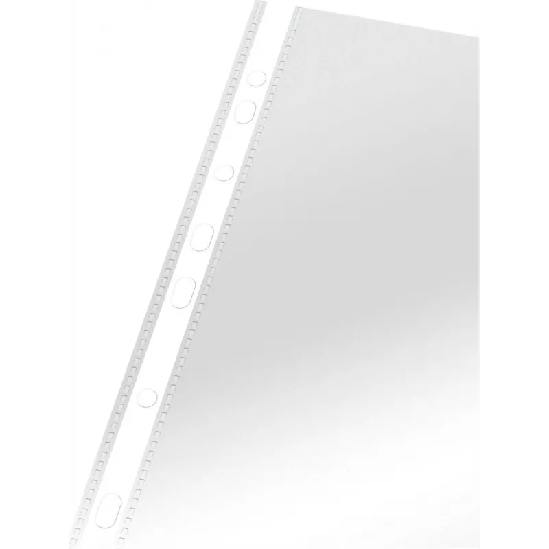 LEITZ Esselte Standarta dokumentu futrālis A4, polipropilēns, caurspīdīgs, 0,06 mm, atvērts no augšas, drošs dokumentiem, daudzperforēts, pastiprināta mala, 100 gab. iepakojums (925008)