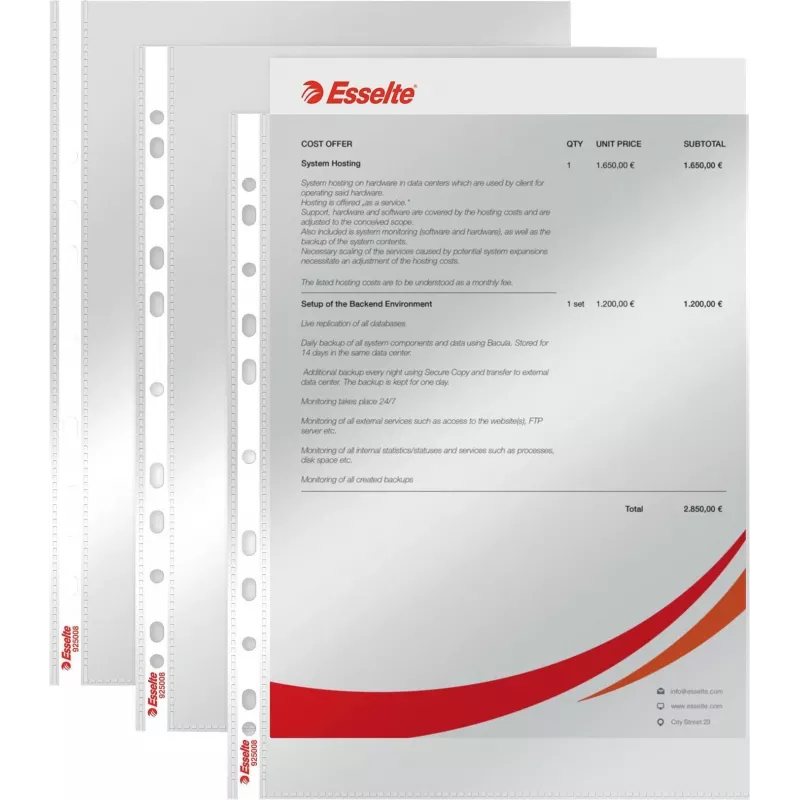 LEITZ Esselte Standarta dokumentu futrālis A4, polipropilēns, caurspīdīgs, 0,06 mm, atvērts no augšas, drošs dokumentiem, daudzperforēts, pastiprināta mala, 100 gab. iepakojums (925008)