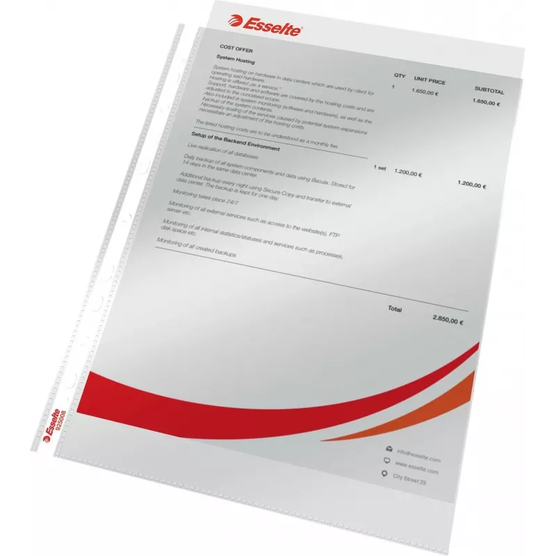 LEITZ Esselte Standarta dokumentu futrālis A4, polipropilēns, caurspīdīgs, 0,06 mm, atvērts no augšas, drošs dokumentiem, daudzperforēts, pastiprināta mala, 100 gab. iepakojums (925008)