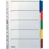 LEITZ Mylar kartona satura rādītāja atdalītāji, tukši, A4, 5 daļas, pelēkas cilnes, 160 gsm, ar rakstāmu vāka lapu 4320-00-00