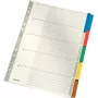 LEITZ Mylar kartona satura rādītāja atdalītāji, tukši, A4, 5 daļas, pelēkas cilnes, 160 gsm, ar rakstāmu vāka lapu 4320-00-00