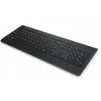 Lenovo Professional Wireless Keyboard 2.4 GHz QWERTZ Black