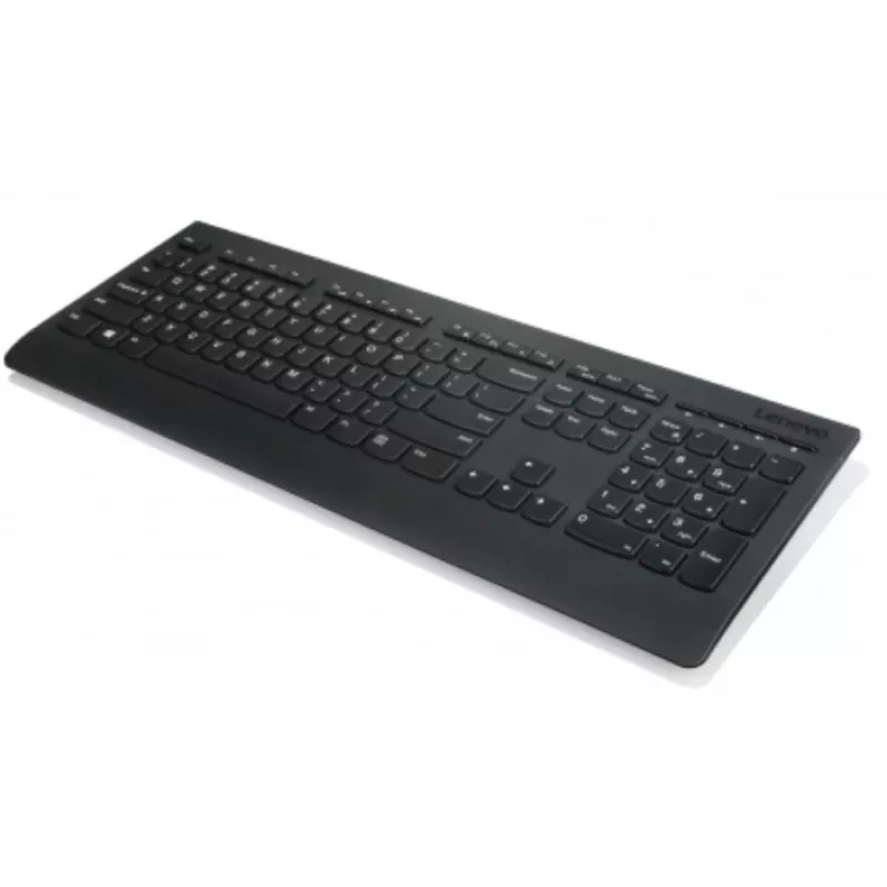 Lenovo Professional Wireless Keyboard 2.4 GHz QWERTZ Black