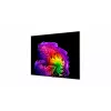 LG OLED77G61LW 77 collu 4K OLED evo Gallery viedais televizors