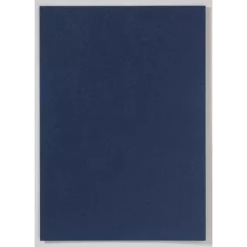 LMG Signaltechnologie 100 Binding Back Covers for Ring Binders, A4, Blue, Cardstock, 250 g/m²