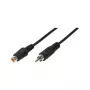 LogiLink Audio pagarinājuma kabelis RCA vīrietis uz RCA sieviete, 10 m, melns