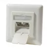LogiLink DSIT Iebūvējams Cat. 6a ekranēts 2 portu RJ45 kontaktligzda ziloņkaula