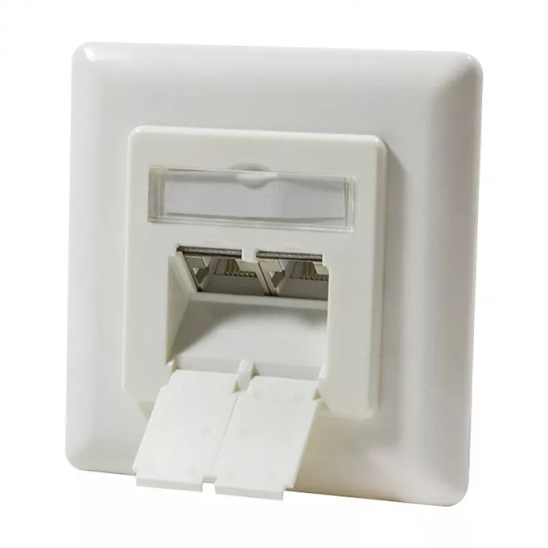 LogiLink DSIT Iebūvējams Cat. 6a ekranēts 2 portu RJ45 kontaktligzda ziloņkaula
