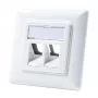LogiLink NK4020 Keystone sienas plāksne, iegremdēta montāža, 2 moduļi, signālbaltā