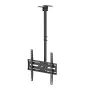 MACLEAN MC-175 griestu stiprinājums 37–75 collu televizoriem, 50 kg, VESA 400x400, melns