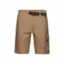 Mammut Hiking Cargo Pants Men's Dark Sand