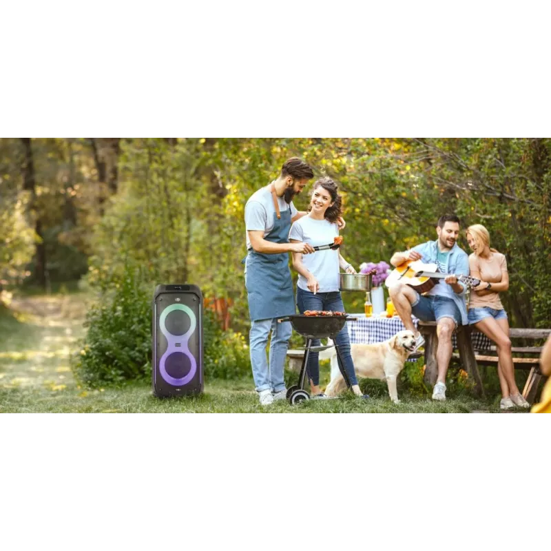 Manta SPK0805B140 Pallas Portable Bluetooth Speaker, 15W, Black