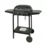 MASTER GRILL Master Gas Grill 2-Burner MG672