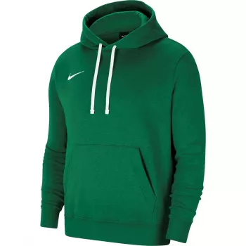Vīriešu Nike Team Club 20 Hoodie Pine Green CW6894 302