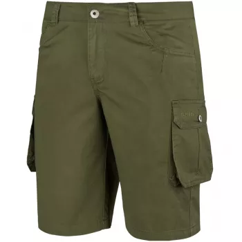 Vīriešu šorti Alpinus Hekla Green Size S