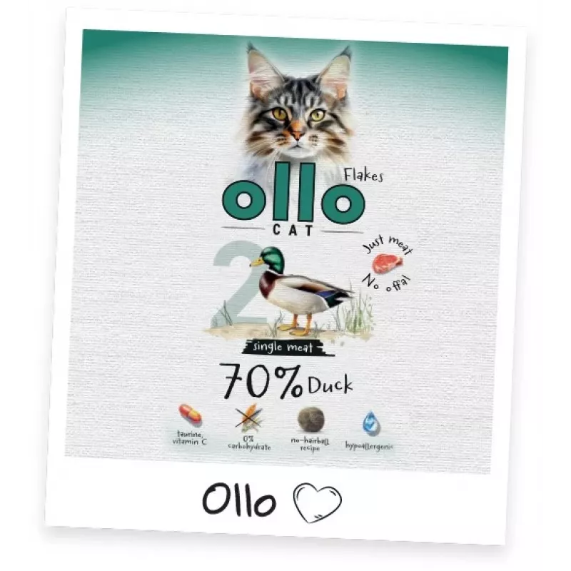 Ollo Kaķu paciņa Nr. 2 Pīle 85 g - pilnvērtīga mitrā barība mērcē