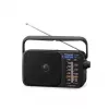 Panasonic RF-2400DEG-K pārnēsājams analogais AM/FM radio - melns