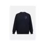 PEAK PERFORMANCE M Terry Graphic Crew Vīriešu Sporta Krekls Melns - M