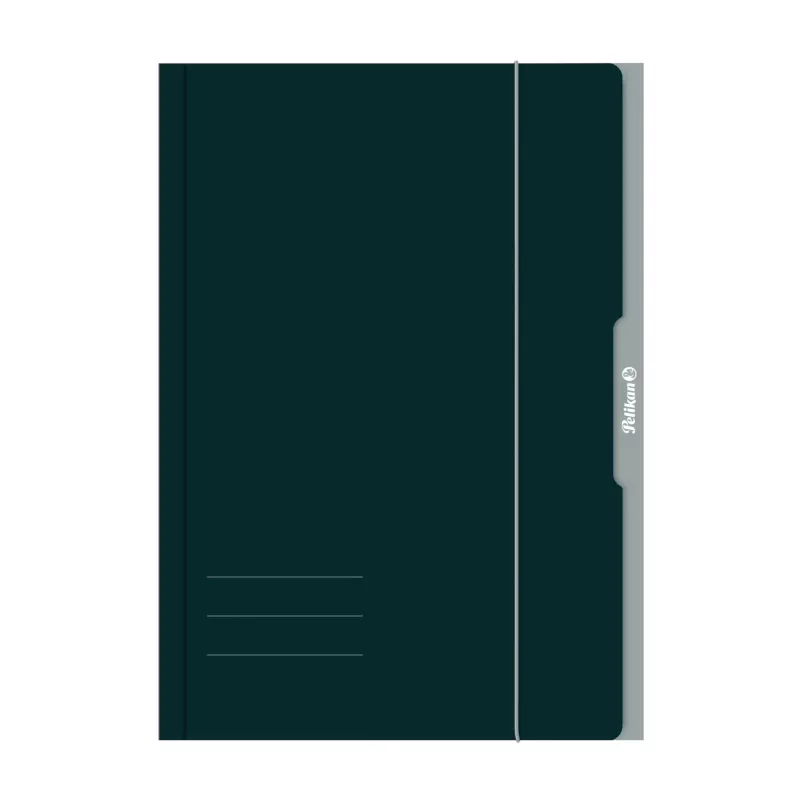 Pelikan 276856 Aprites mape A3 kartons zaļš