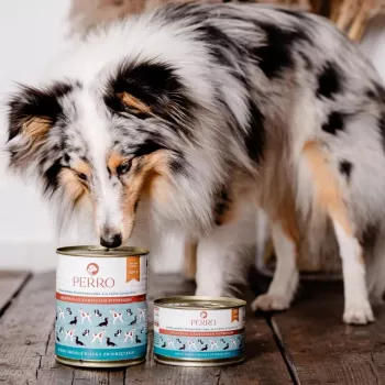 PERRO liellopu gaļa ar pētersakņu sakni mitrā suņu barība 850g