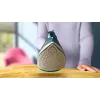 Philips DST2030/90 Tvaika gludeklis - 2000W, Nelīpoša zole, 270ml tvertne