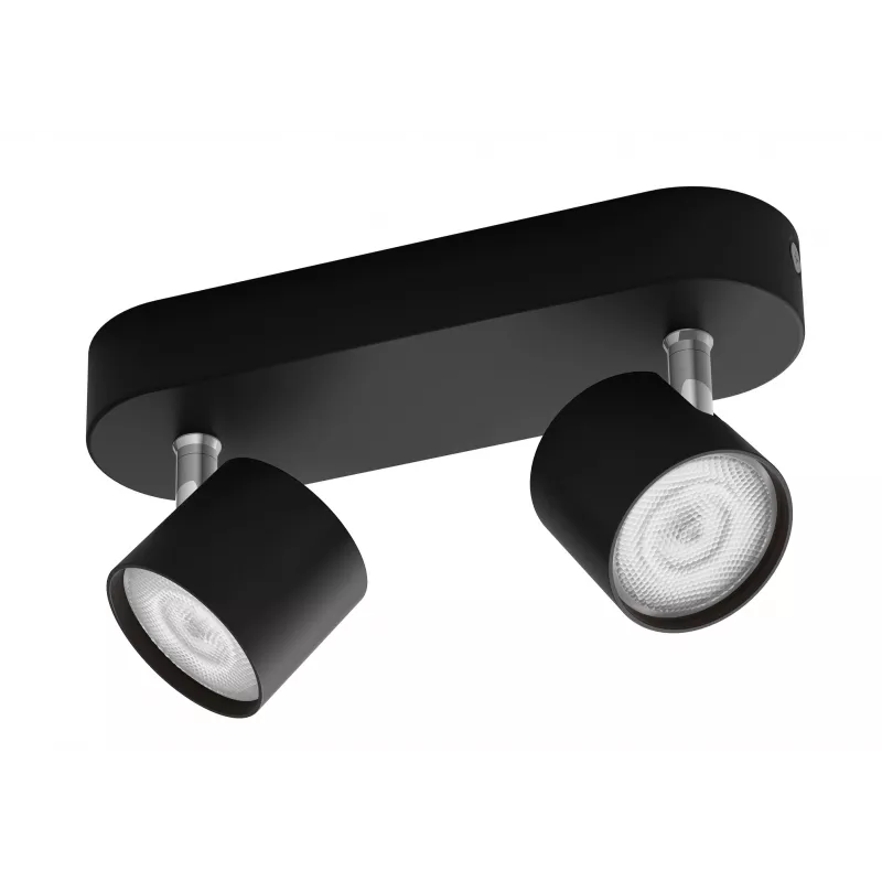 Philips Star Spot 2-Floodlight Black 1000lm LED Ceiling/Wall Spotlight