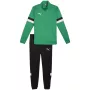 PUMA vīriešu Team Rise treniņtērps Forest Night / Puma Black M izmērs