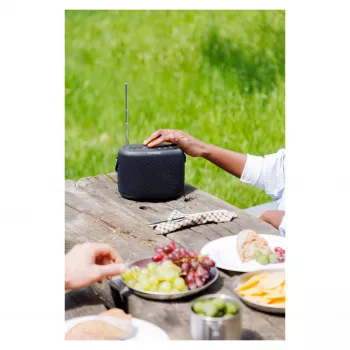 PURE ACOUSTICS Pure Woodland portatīvais Bluetooth skaļrunis – 10 W, ūdensizturīgs, FM/DAB+ radio, melns (253344)