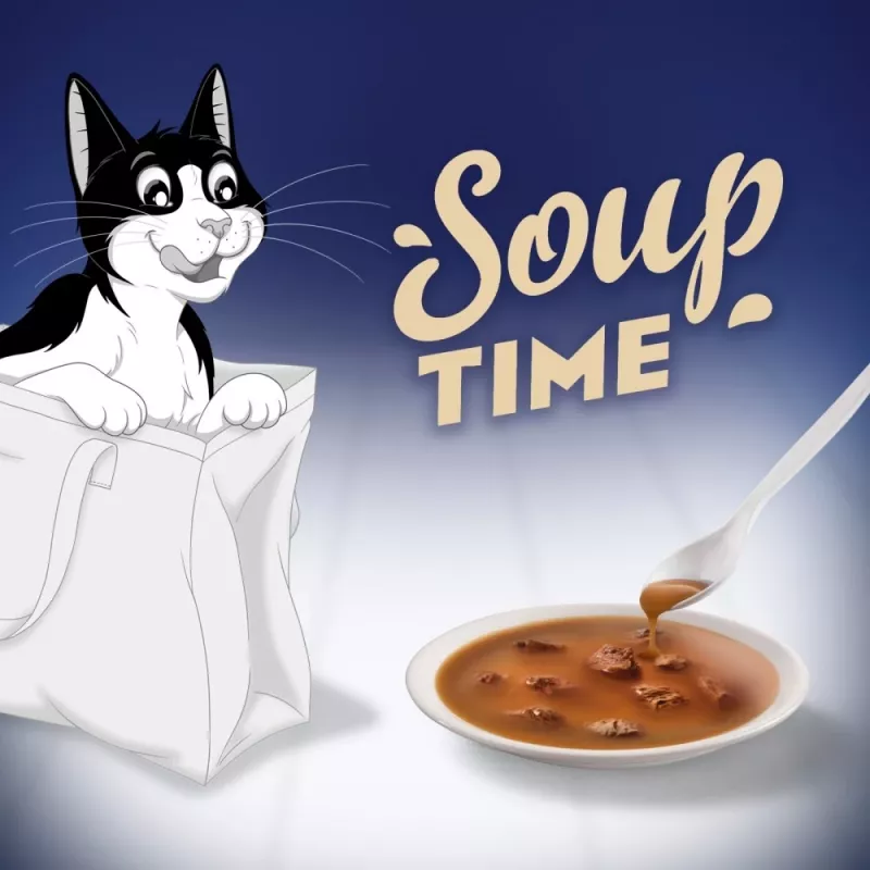 PURINA FELIX Soup Original Country Flavours 6x48g Slapjā kaķu barība