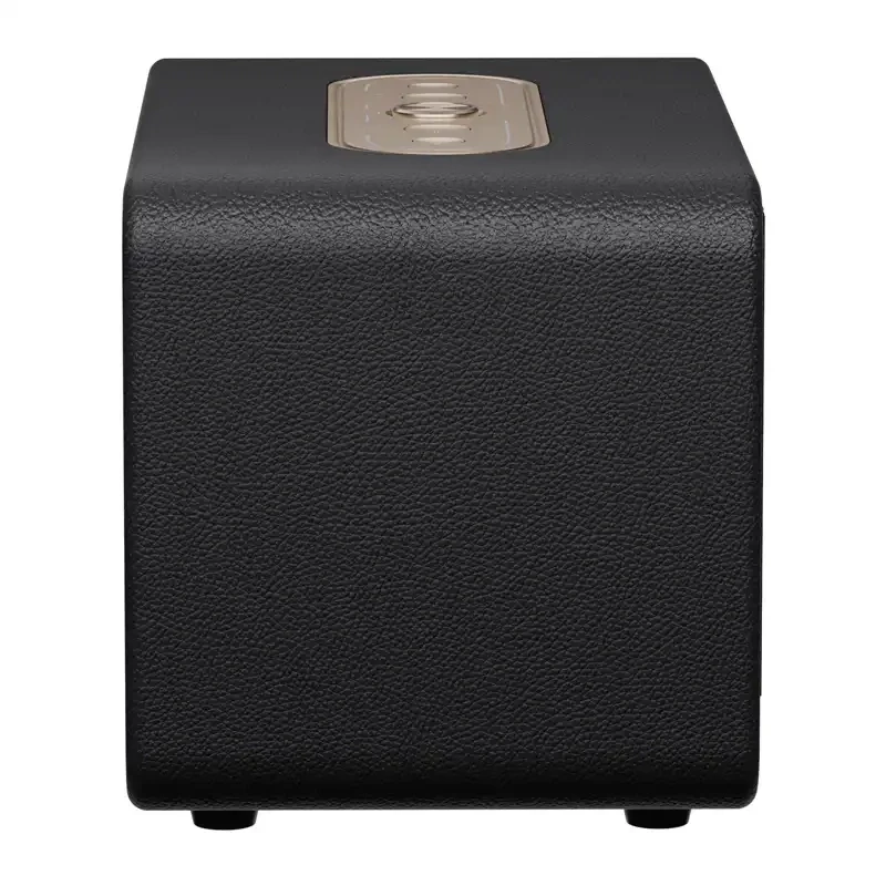 QCY SP300 Bezvadu skaļrunis (Melns)