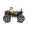 QUAD LOCK Quad Battery Pack ar atzveltni QLS-3288 LED gaisma MP3 dzeltens