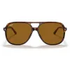 Ray-Ban Bill RB2198 saulesbrilles Tortoise Havana Brown Classic B-15 60mm Unisex