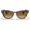 Ray-Ban Frank Square saulesbrilles RB2201 133451 54/17/145 mm