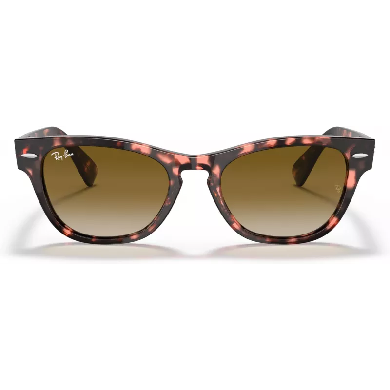 Ray-Ban Frank Square saulesbrilles RB2201 133451 54/17/145 mm