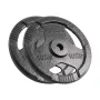 REBEL ACTIVE Čuguna Svaru Komplekts 2x10kg, Urbums 31mm, Disks ar Rokturiem, Melns