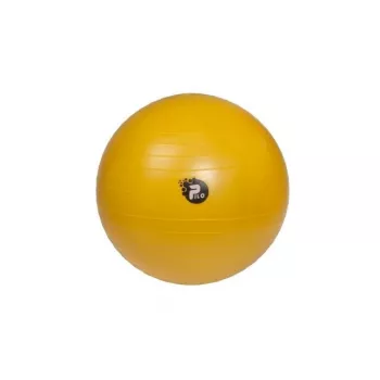 REHA FUND PILO-1045 Rehabilitation Ball ABS 65 cm Silver/Grey