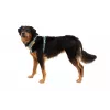 Ruffwear Front Range zirglietas XS - River Rock Green