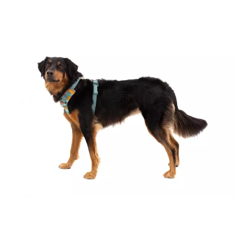Ruffwear Front Range zirglietas XS - River Rock Green