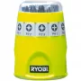 RYOBI RAK10SD 10-daļīgs skrūvgrieža uzgaļu komplekts (zaļš)