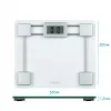 Salter 9081 SVFEU12 stikla elektroniskie svari, sudrabs/caurspīdīgs