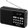 SANDBERG Speaker Radio FM+BT uzlādējams pārnēsājams Bluetooth skaļrunis ar FM radio, AUX, USB, MicroSD, 6W, melns